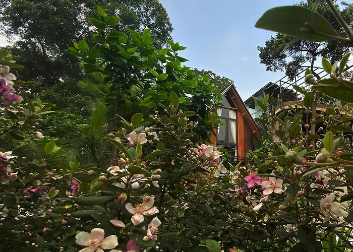 Htc Tuan Chau Ha Long