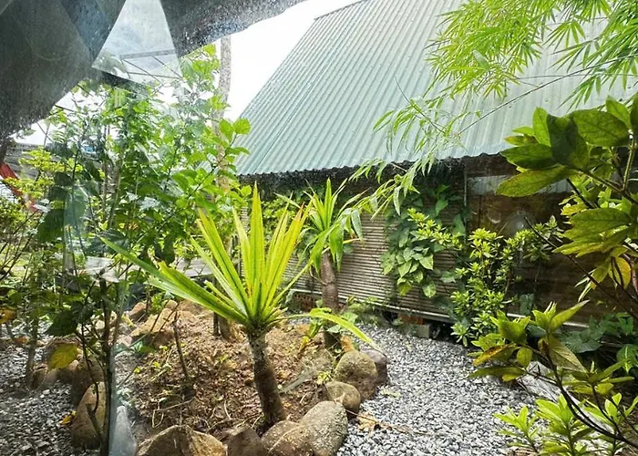 Htc Tuan Chau *