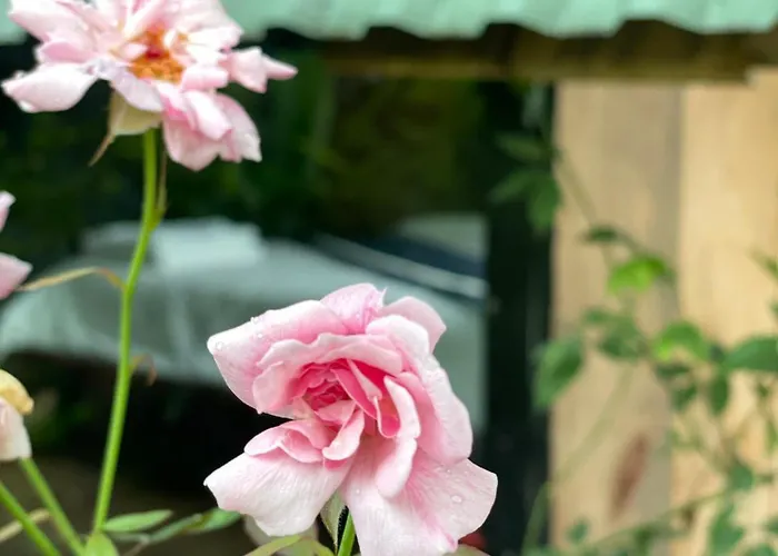 Htc Tuan Chau Hotel Ha Long